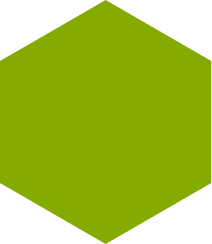 Polygon 4